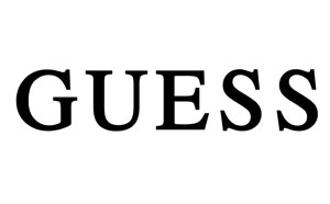 Logo_guess