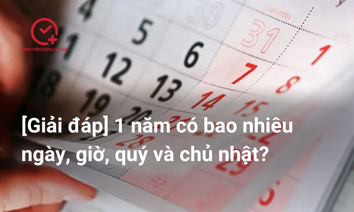[Giải đáp] 1 năm có bao nhiêu ngày, giờ, quý và chủ nhật?