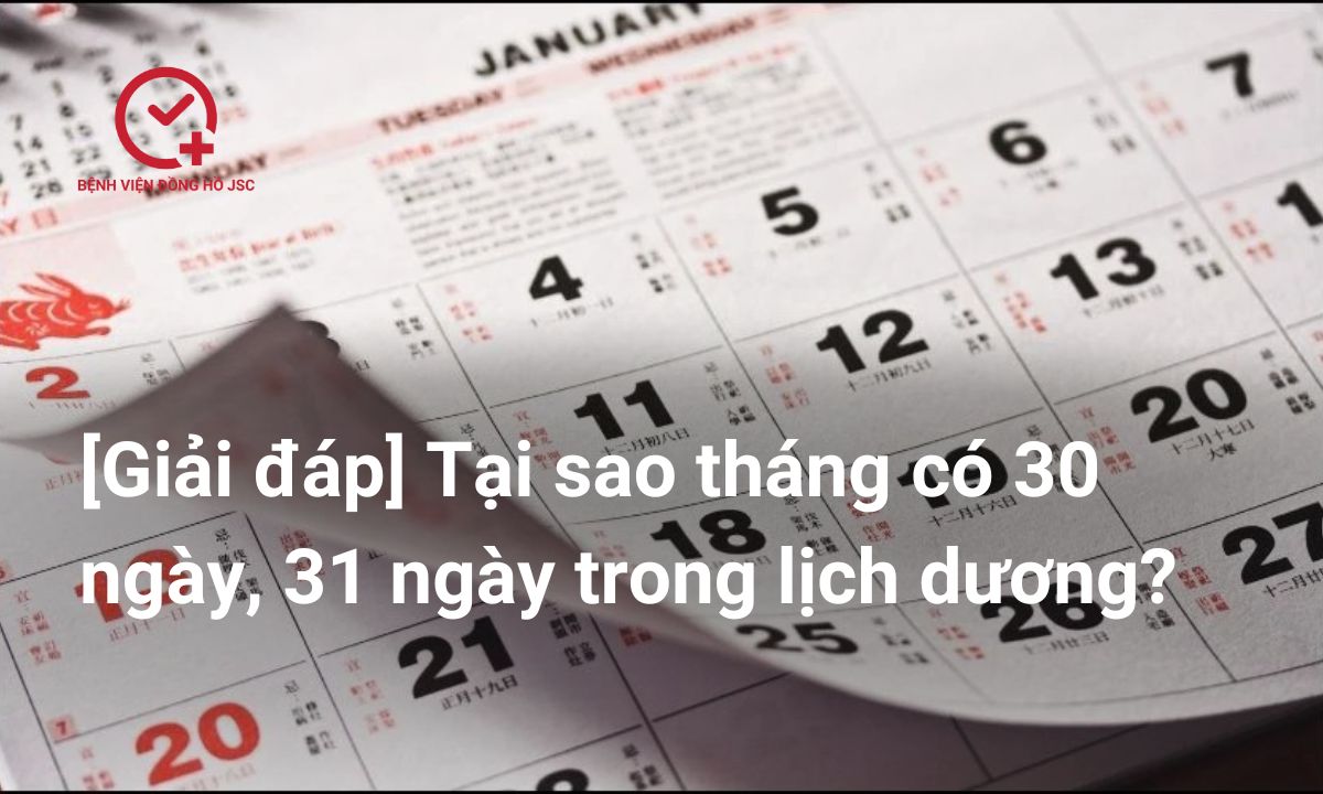 [Giải đáp] Những tháng nào có 30 ngày, 31 ngày trong lịch dương?