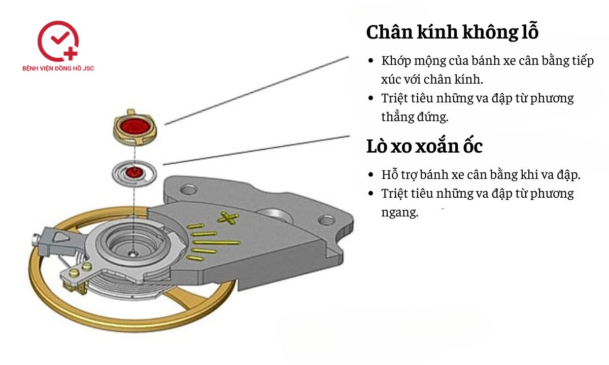 cấu tạo bộ phận parashock