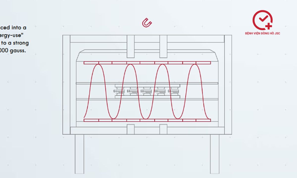 bài test 1