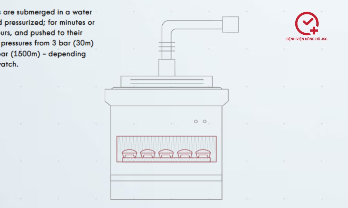 bài test 8-1