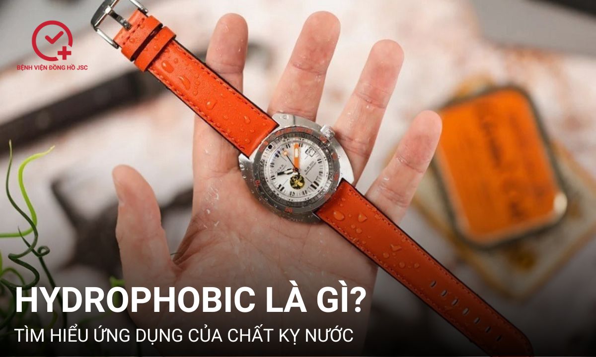 Hydrophobic là gì? Ứng dụng của chất kỵ nước như thế nào?