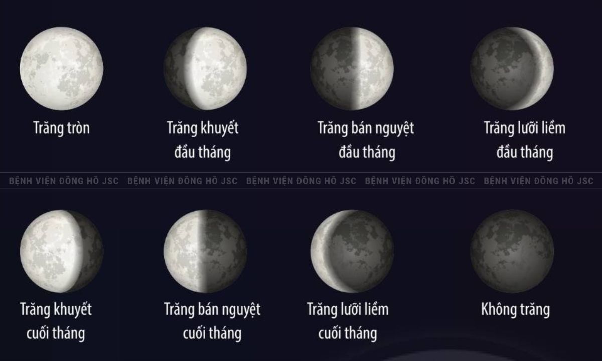chu-ky-mat-trang chu kỳ mặt trăng