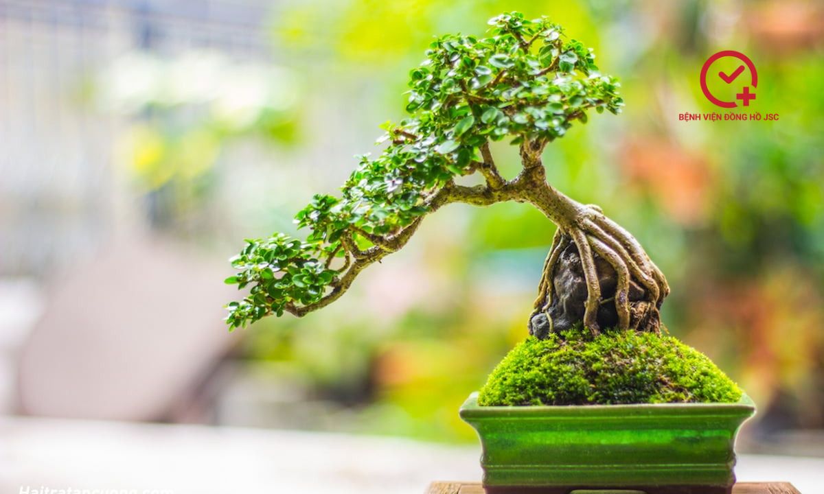 qua-tang-chia-tay-dong-nghiep quà tặng chia tay đồng nghiệp