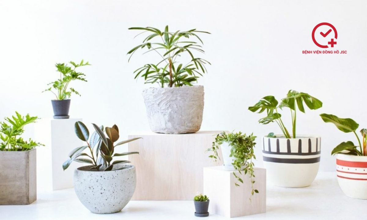 qua-tang-sinh-nhat-cho-me quà tặng sinh nhật cho mẹ