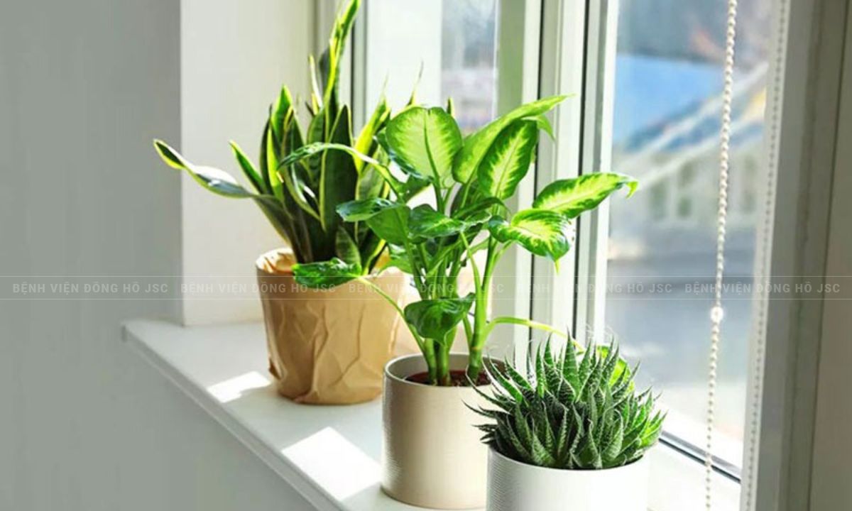 qua-tang-sinh-nhat-cho-nam quà tặng sinh nhật cho nam