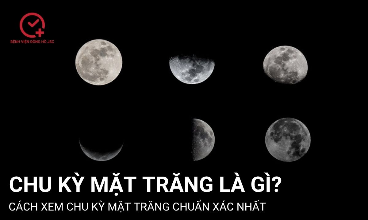 Chu kỳ Mặt Trăng là gì? Cách xem chu kỳ Mặt Trăng chuẩn xác nhất