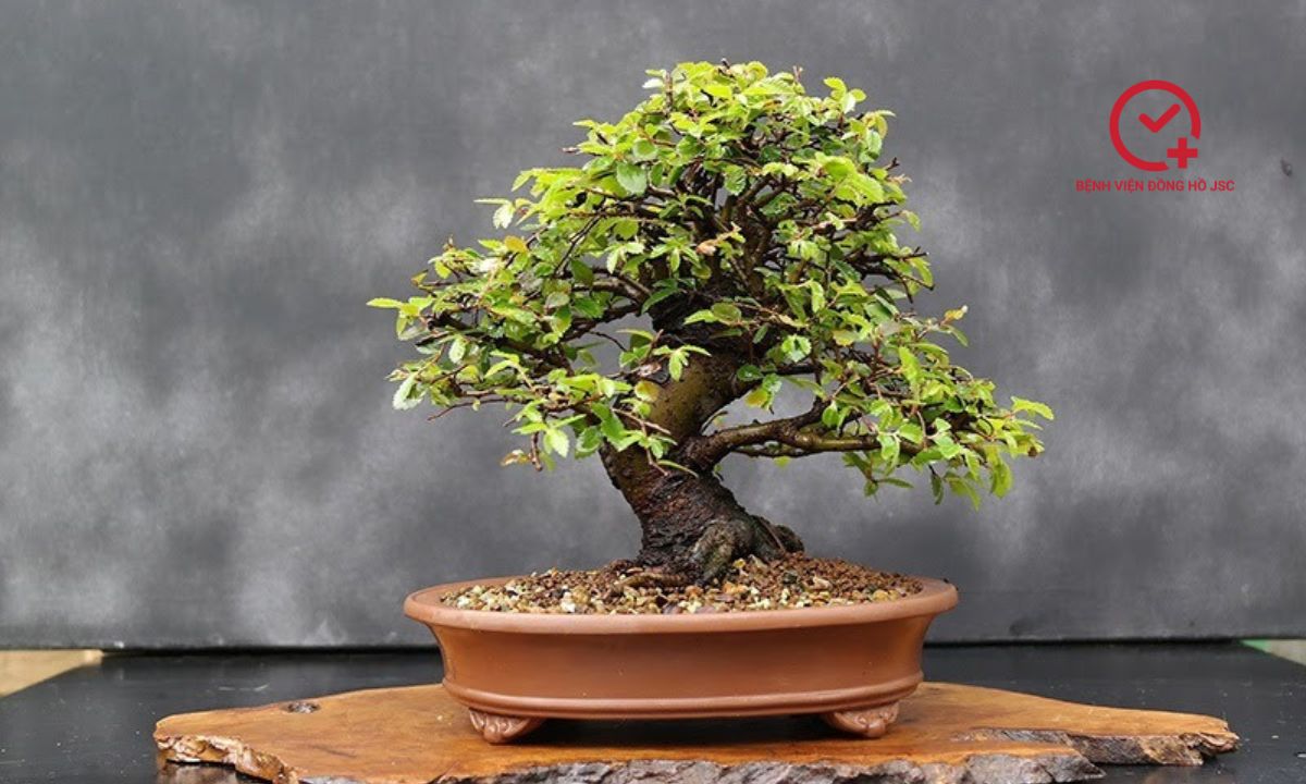 qua-tang-ngay-quoc-te-dan-ong quà tặng ngày quốc tế đàn ông