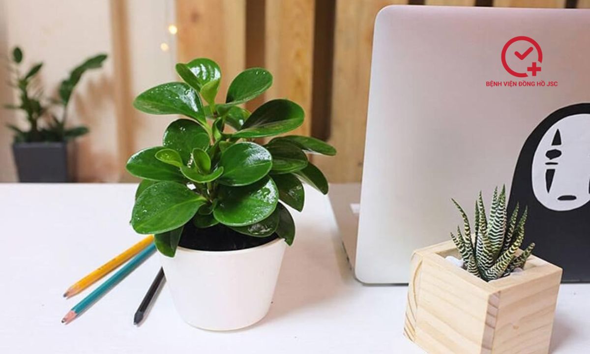 quà tặng ngày 20/11