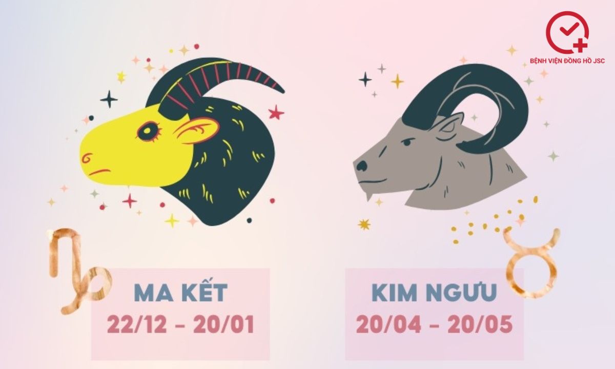 cac-cung-hoang-dao các cung hoàng đạo