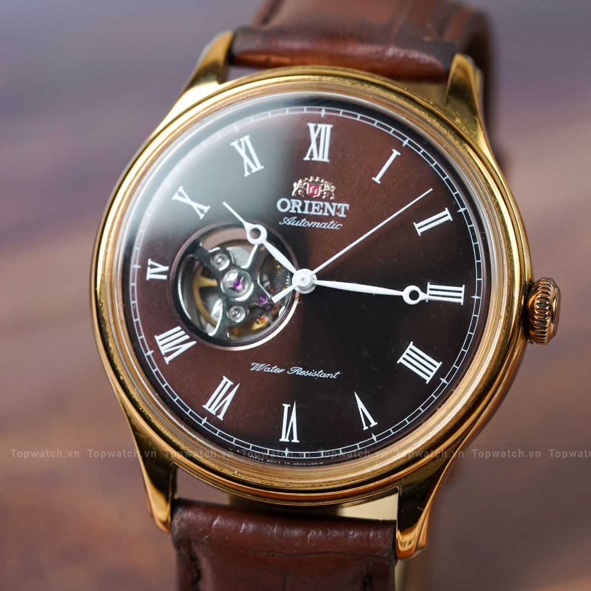 Đồng hồ Orient FAG00001T0