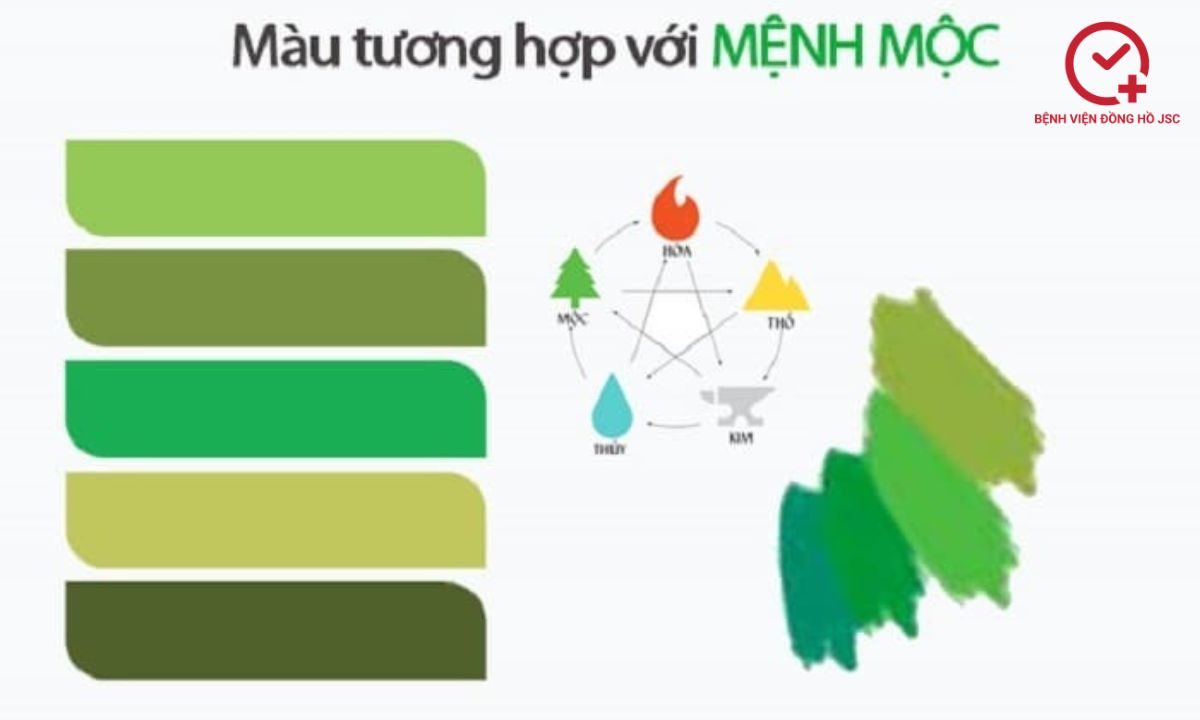 mệnh mộc hợp màu gì