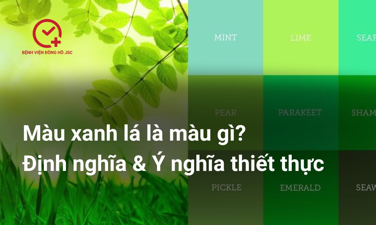 Màu xanh lá là màu gì? Định nghĩa & Ý nghĩa thiết thực