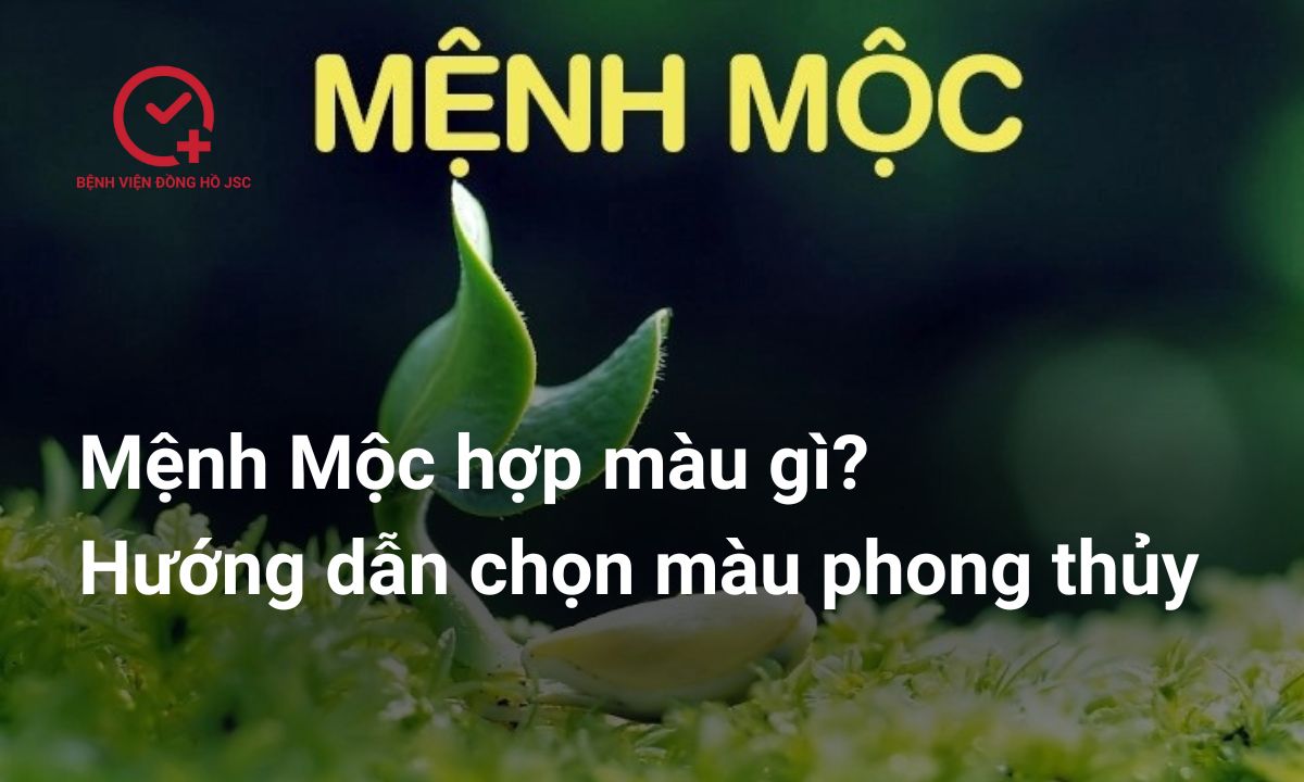 Mệnh Mộc hợp màu gì? Hướng dẫn chọn màu phong thủy