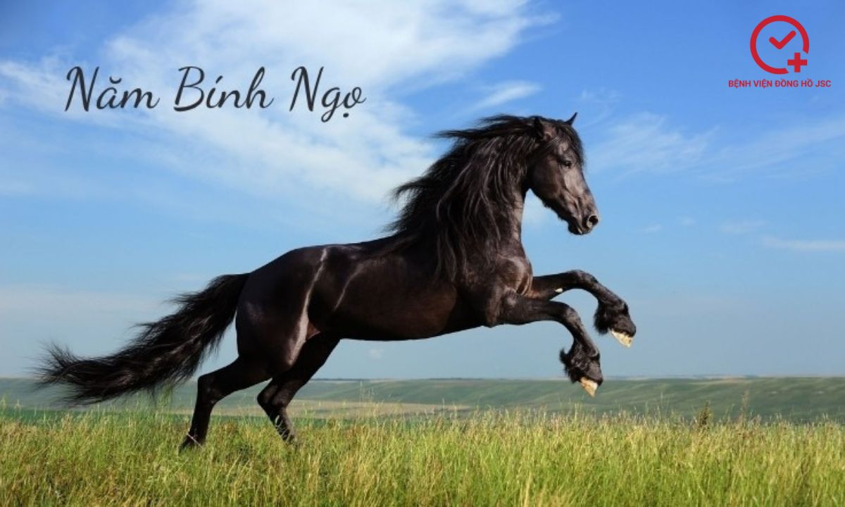 năm 2026 là năm con gì