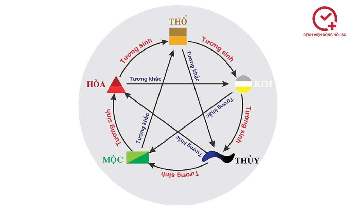 năm 2026 là năm con gì