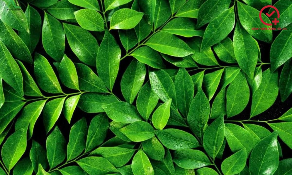 màu xanh lá là màu gì