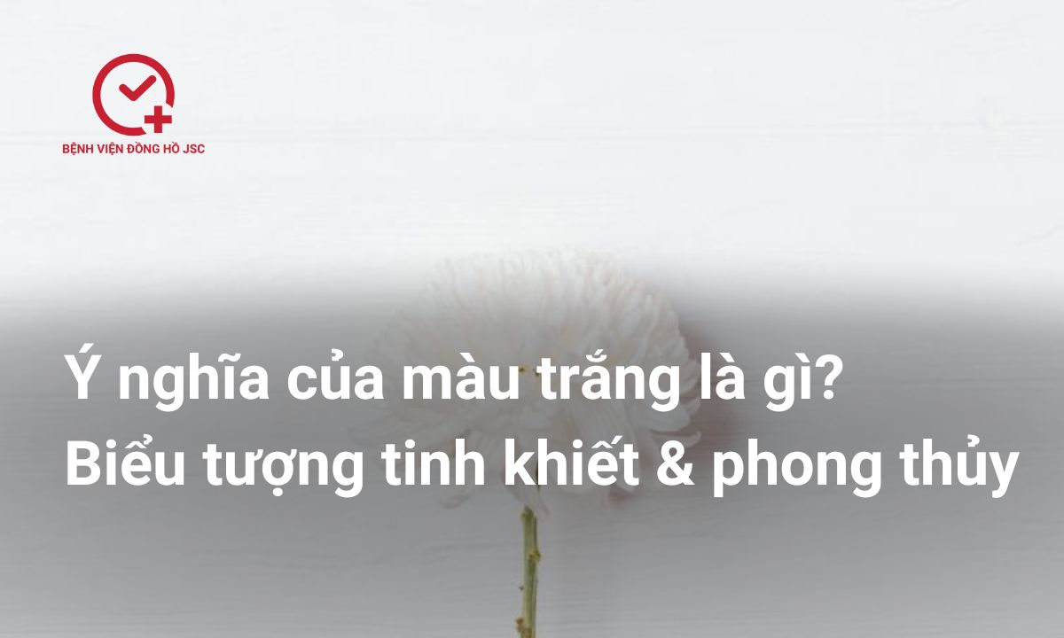 Ý nghĩa của màu trắng là gì? Biểu tượng tinh khiết & phong thủy