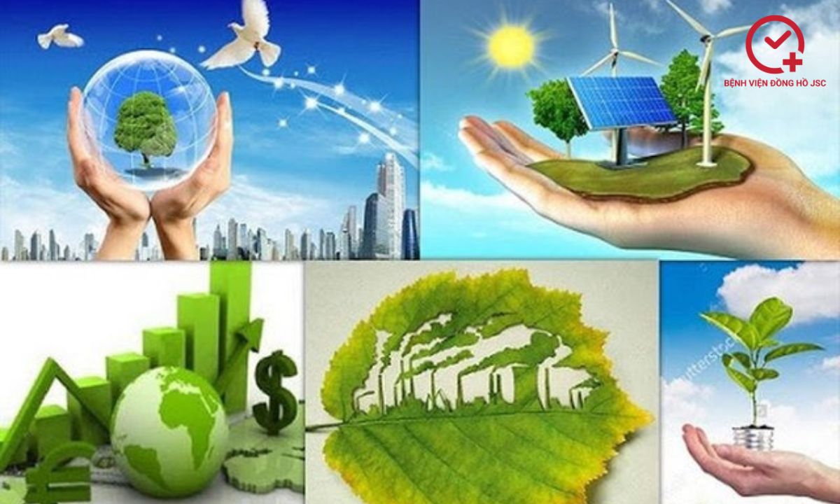 màu xanh lá là màu gì